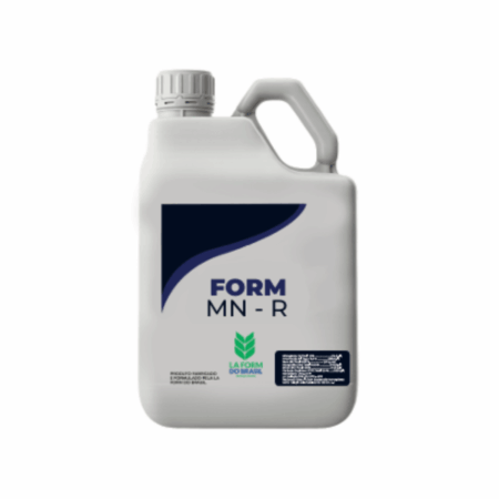 FORM MN - R