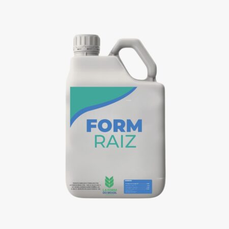 FORM RAIZ